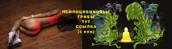 бошки Богданович