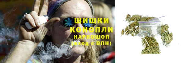 бошки Богданович