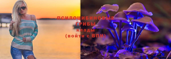 синтетический гашиш Богородицк