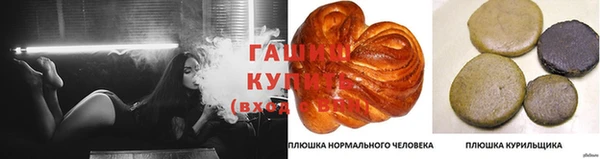 бошки Богданович