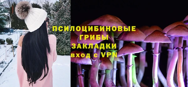 синтетический гашиш Богородицк