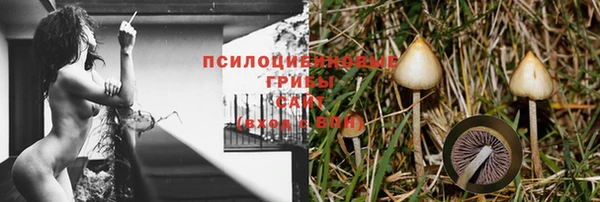 бошки Богданович