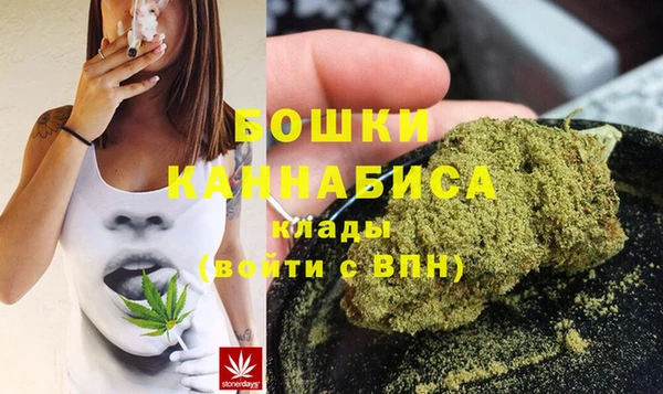 бошки Богданович