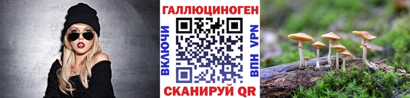 Псилоцибиновые грибы MAGIC MUSHROOMS  Дигора 